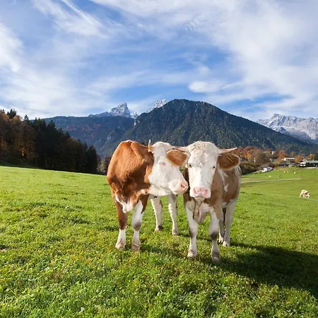Gaestehaus Untersulzberglehen Farm stay