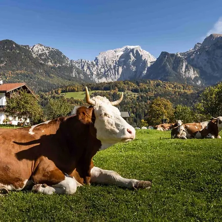 Gaestehaus Untersulzberglehen