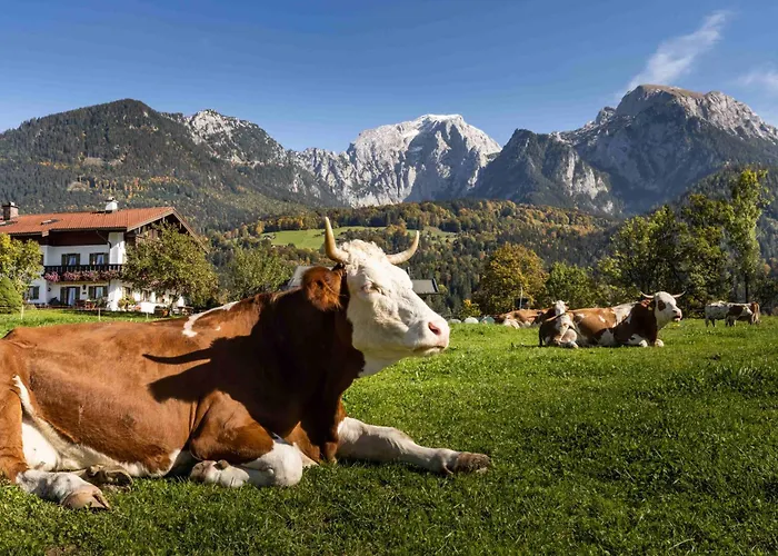 Gaestehaus Untersulzberglehen